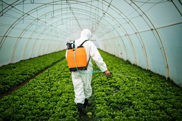 Professional Pest Control in Beavercreek, OR