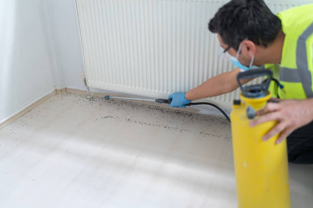 Best Flea Control Services  in Beavercreek, OR